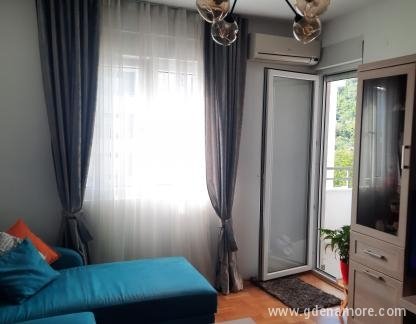 Apartman Mina, privatni smeštaj u mestu Tivat, Crna Gora - 20220524_170937