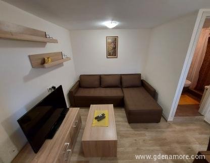 Jednosoban Apartman, private accommodation in city Risan, Montenegro - 20220618_180628