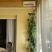 Apartman i sobe Tadic, privatni smeštaj u mestu Kumbor, Crna Gora - viber_image_2022-06-19_20-44-10-543