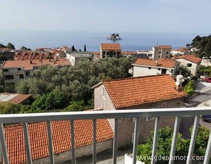 Apartmani Gale , Privatunterkunft im Ort Petrovac, Montenegro - viber_image_2022-06-22_17-45-27-473