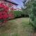 Hi&scaron;a in vrt, zasebne nastanitve v mestu Utjeha, Črna gora - IMG-20220628-WA0032