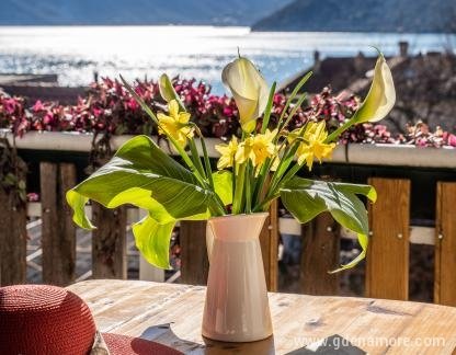 Apartmani Žukić, privatni smeštaj u mestu Risan, Crna Gora - DSC08979