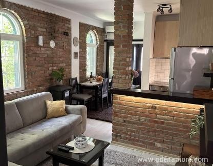 Apartman Sunce, частни квартири в града Bijela, Черна Гора - IMG-2d2ea0655514f7cd9d85eb9f07bca7ab-V