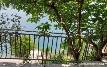 Fig, private accommodation in city Morinj, Montenegro