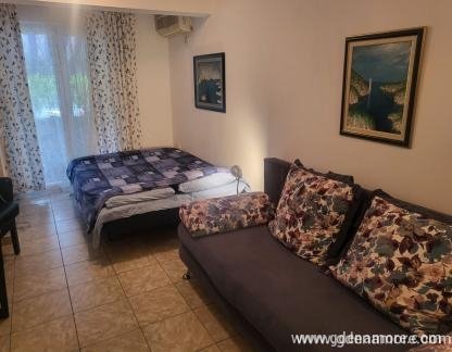 Apartment Djenovici, private accommodation in city Djenović, Montenegro - viber_image_2023-06-23_20-15-43-593_bFjez2q82j
