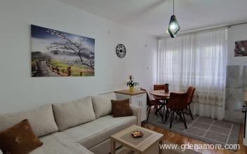 Apartments Boro, private accommodation in city Šušanj, Montenegro