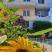 villa Grafenberg, Magán szállás a községben Ulcinj, Montenegr&oacute; - IMG-4759b2f626b166e472963766ad50899c-V