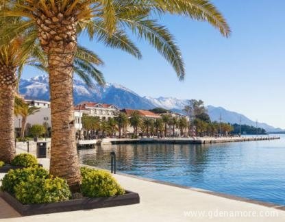Apartman Tomanovic, Magán szállás a községben Tivat, Montenegr&oacute; - istockphoto-1171785221-612x612-1