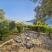 Suncani Skalini - Beachfront Retreat, 20 m&eacute;terre a tengertől, Magán szállás a községben Herceg Novi, Montenegr&oacute; - viber_image_2024-07-02_22-38-39-205