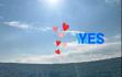 "YES" Apartmani, privatni smeštaj u mestu Bigova, Crna Gora