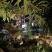 Villa Anastasia-Becici, alloggi privati a Bečići, Montenegro - 0-02-05-3bb7c5cf13384f6b35cb6d8570328ded2533138b13