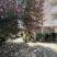 Villa Anastasia-Becici, alloggi privati a Bečići, Montenegro - 0-02-05-3dcc9e9884c625e24ad4ac1c638fa85ce1ef51339b