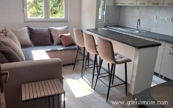 Hedona apartman, Magán szállás a községben Topla, Montenegró