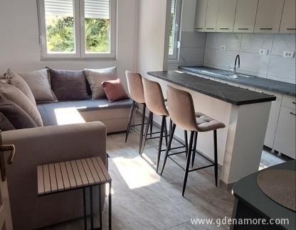 Hedona apartman, Magán szállás a községben Topla, Montenegr&oacute; - 0-02-05-5a062dabd5ccbce9be46ac17530f7b4e08b06758ef