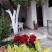 apartmani Pejović, Magán szállás a községben Bečići, Montenegr&oacute; - viber_image_2025-06-27_18-12-30-799