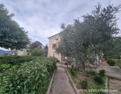 Vila Old House, privatni smeštaj u mestu Herceg Novi, Crna Gora - 20220111_115654
