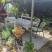Vila Old House, privatni smeštaj u mestu Herceg Novi, Crna Gora - 20230624_112059