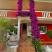 Vila L Budva, privatni smeštaj u mestu Budva, Crna Gora - 309052075