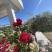 Apartman San, Magán szállás a községben Dobre Vode, Montenegr&oacute; - 7300161A-B9D8-4922-8F16-1CCC2BF00EEA