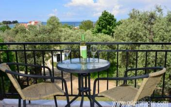 Argiro St&uacute;di&oacute;k, Mag&aacute;n sz&aacute;ll&aacute;s a k&ouml;zs&eacute;gben Skala Rachoni, G&ouml;r&ouml;gorsz&aacute;g