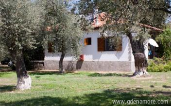 Patroudis-h&aacute;z, Mag&aacute;n sz&aacute;ll&aacute;s a k&ouml;zs&eacute;gben Skala Rachoni, G&ouml;r&ouml;gorsz&aacute;g