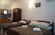  T Rooms and apartments Rabbit - Budva, private accommodation in city Budva, Montenegro