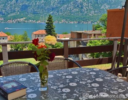 Apartments BIS, , private accommodation in city Prčanj, Montenegro