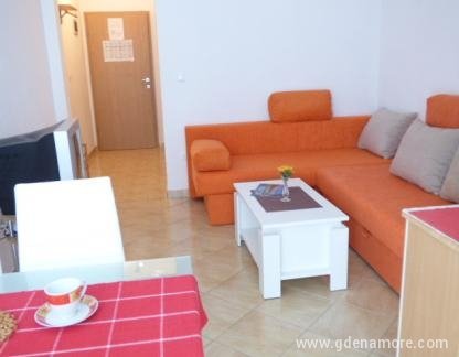 Appartements &quot;Rose&quot;, Appartement Typ A , logement privé à Baška Voda, Croatie - Dnevni boravak