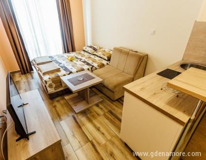 Apartmani Anastasija, Studio apartman, privatni smeštaj u mestu Igalo, Crna Gora - 1