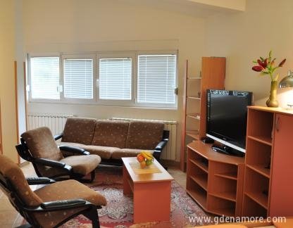 Comfort apartments, STUDIO PLUS apartment, private accommodation in city Šušanj, Montenegro - DSC_0134