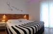  T Apartments Ursic, private accommodation in city Brela, Croatia