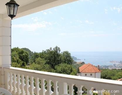 Vila Oaza Markovici, Jednosobni Apartmani, privatni smeštaj u mestu Budva, Crna Gora - IMG_0355