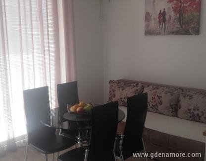 APARTMANI BAŠIĆ - NOVO U PONUDI! IZLETI GLISEROM                         , Trokrevetni studio 1, privatni smeštaj u mestu Herceg Novi, Crna Gora - 20190602_135958