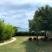 Apartmani Vujovic, , zasebne nastanitve v mestu Zelenika, Črna gora - beachbeds