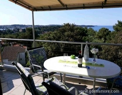 Ivo Apartmani, Pogledom na more, privatni smeštaj u mestu Rovinj, Hrvatska - IMAGE_1596800886974_636730982357033184