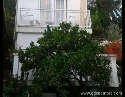 Apartments Herceg Novi, , private accommodation in city Herceg Novi, Montenegro - IMG-d677ee554e808a952277e4cbafcc3da1-V