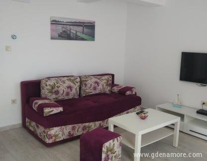 Apartmaji Giardino, Ena spalnica, zasebne nastanitve v mestu Djenović, Črna gora - IMG-21b969ba126a5985fba90b8ea4d794bf-V