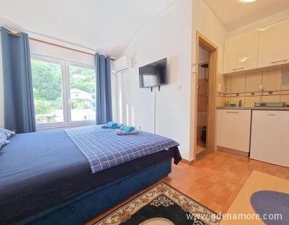 Vila Dom, , private accommodation in city Budva, Montenegro - IMG-5a225ac7973c85d766657bc0c392c098-V