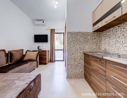 Sobe i apartmani Rabbit - Budva, Apartman br.14, privatni smeštaj u mestu Budva, Crna Gora - image3