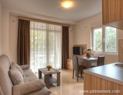 Guest House Maslina, Superior apartment with one separate bedroom, private accommodation in city Petrovac, Montenegro - 35D2BA58-6E1B-4387-8DB5-8AB7E3389BF2