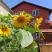 Слънчогледите, Apartamento-estudio Girasoles, alojamiento privado en Pomorie, Bulgaria - IMG_20210722_101308