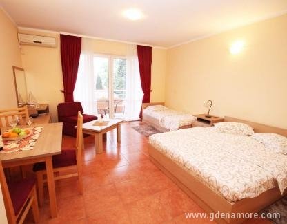 Apartmani Stijepcic, Studio apartmani broj 8, privatni smeštaj u mestu Igalo, Crna Gora - FB_IMG_1682010086379