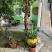 Apartmani Lilić, Apartman u prizemlju/5, privatni smeštaj u mestu Ulcinj, Crna Gora - Ispred apartmana