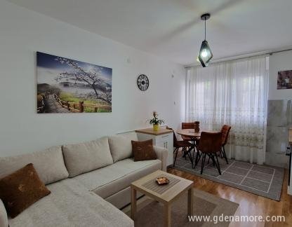 Apartmani Boro, Apartman 1, privatni smeštaj u mestu Šušanj, Crna Gora - 20230531_154442
