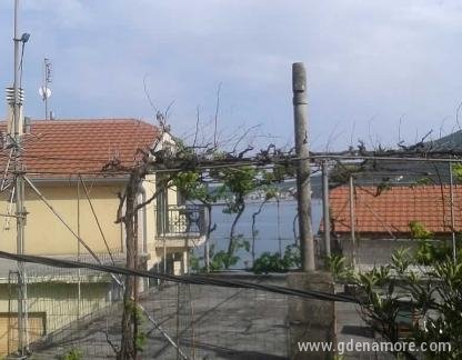 Apartments "Citrus" in Đenović, 1 c, private accommodation in city Djenović, Montenegro - 20160616_161117