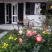 apartmani Pejović, , zasebne nastanitve v mestu Bečići, Črna gora - viber_image_2023-06-13_18-42-14-762