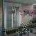 Apartmaji Pierre Loti, , zasebne nastanitve v mestu Baošići, Črna gora - IMG-c6ad962879d1d5e757b701577c8dbd0c-V