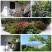 Apartmani "M" Zelenika, , Частный сектор жилья Зеленика, Черногория - GridArt_20240514_115756010