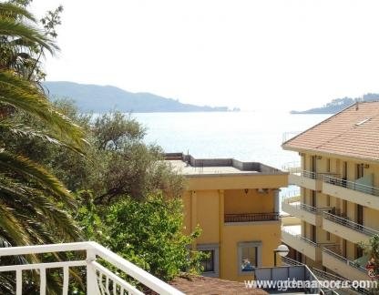 Стаи и апартаменти Вукчевич, Apartman 1(slobodan od 21.08), частни квартири в града Rafailovići, Черна Гора - DSC00854