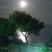 Villa Oasis, alojamiento privado en Nea Potidea, Grecia - full moon